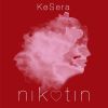 Download track Nikotin