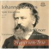 Download track 2. Klaviertrio C-Moll Op. 101 - Presto Non Assai