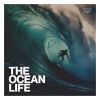 Download track Beauty And Wonders Of The Deep Sea