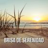 Download track Brisa De Tranquilidad