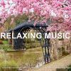 Download track Soothing Ballad