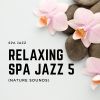 Download track Nature Sounds - Clear Mind (Zen Garden) (SPA Jazz Music)