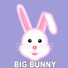 Download track Minimum Format (Big Bunny Remix)