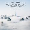 Download track Hold Me Down (Robbie Rivera Remix)