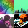 Download track Fabulous Music For Lonely Dogs