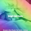 Download track Dream Like Music For Kittens