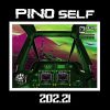 Download track PINO´s Arrival (202.21 Intro)