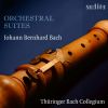 Download track 24. Orchestral Suite No. 4 II. Caprice I