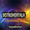 Download track Instrumentala Criminala 3