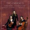 Download track Trio Rhapsody, Op. 11 I. Intro