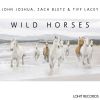 Download track Wild Horses