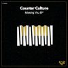 Download track P&P (Counter Culture Remix) (Remix)