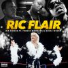 Download track Ric Flair