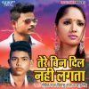 Download track Dilwa Se Dil Lagawani