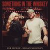 Download track Something In The Whiskey