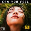 Download track Can You Feel (Extended Mix)