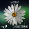 Download track Moment Forever (Carl Crellin & Mark S Remix)