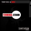 Download track Terminal Storm (Terminated Storm)