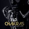 Download track Chakras (SLH Remix)