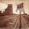 Download track Another Kind Of Train