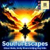 Download track Soulful Serenity