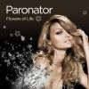 Download track Paronator - City At Night