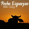 Download track Muchachita Hechicera