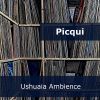 Download track Ushuaia Ambience