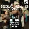 Download track Sexual Healing (Acapella)