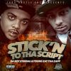 Download track Stick'n To Tha Script