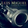 Download track La Fiesta Del Mariachi