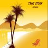 Download track True Story