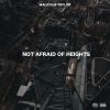 Download track Not Afraid Of Heights