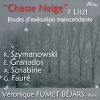 Download track Etude D'exécution Transcendante, S. 139- 12. Chasse Neige