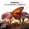 Download track Fly Of Butterfly (Extended Mix)