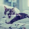 Download track Ambience (Relaxing Cats)