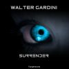 Download track Surrender (Original Mix)