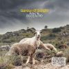 Download track Red Back Sheep