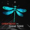 Download track Great Spirit (Radio Edit)