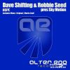 Download track Dave Shifting & Robbie Seed Pres. Sky Motion - Hope (Martin Graff Remix)
