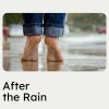 Download track It's Raining Cats And Dogs Meaning