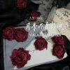 Download track 月季不是玫瑰