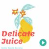 Download track Delicate Juice