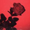 Download track The Rose That Grew In The 336