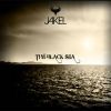 Download track The Black Sea