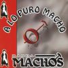 Download track Los Machos Tambien Lloran