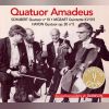 Download track Quatuor En Fa Mineur Op. 20 N°5 - Adagio