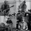 Download track Black Cat