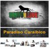 Download track Paradiso Caraibico