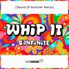 Download track Whip It (Instrumental Mix)